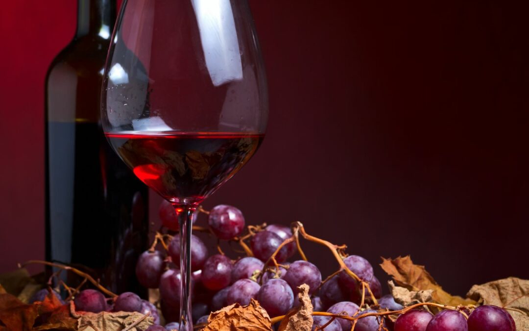 la differenza tra vini bio e vini naturali cantina sampietrana