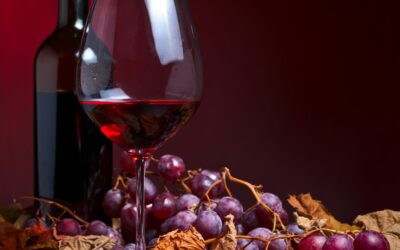 La differenza tra vini bio e vini naturali